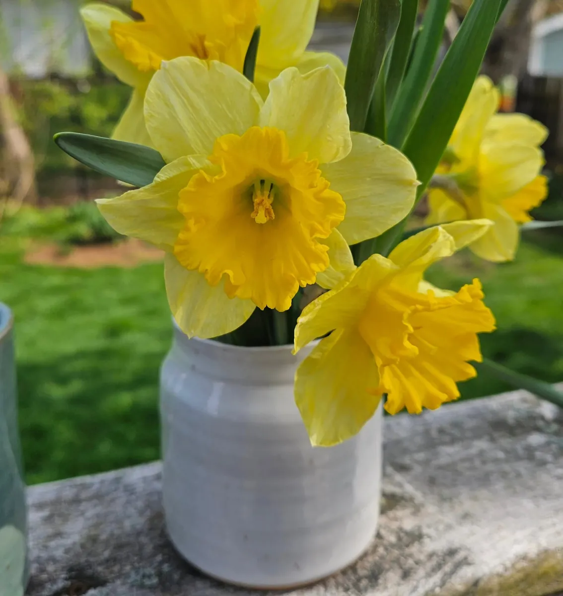 Vase with daffodils by Lindsay Bromley Pottery