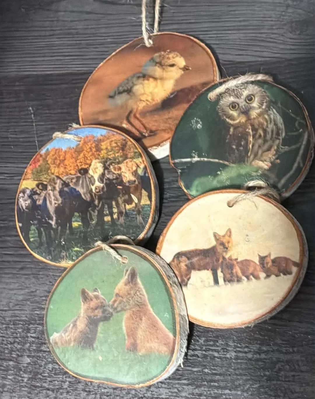 PEI wildlife on birch slice ornaments by Photo Ornaments