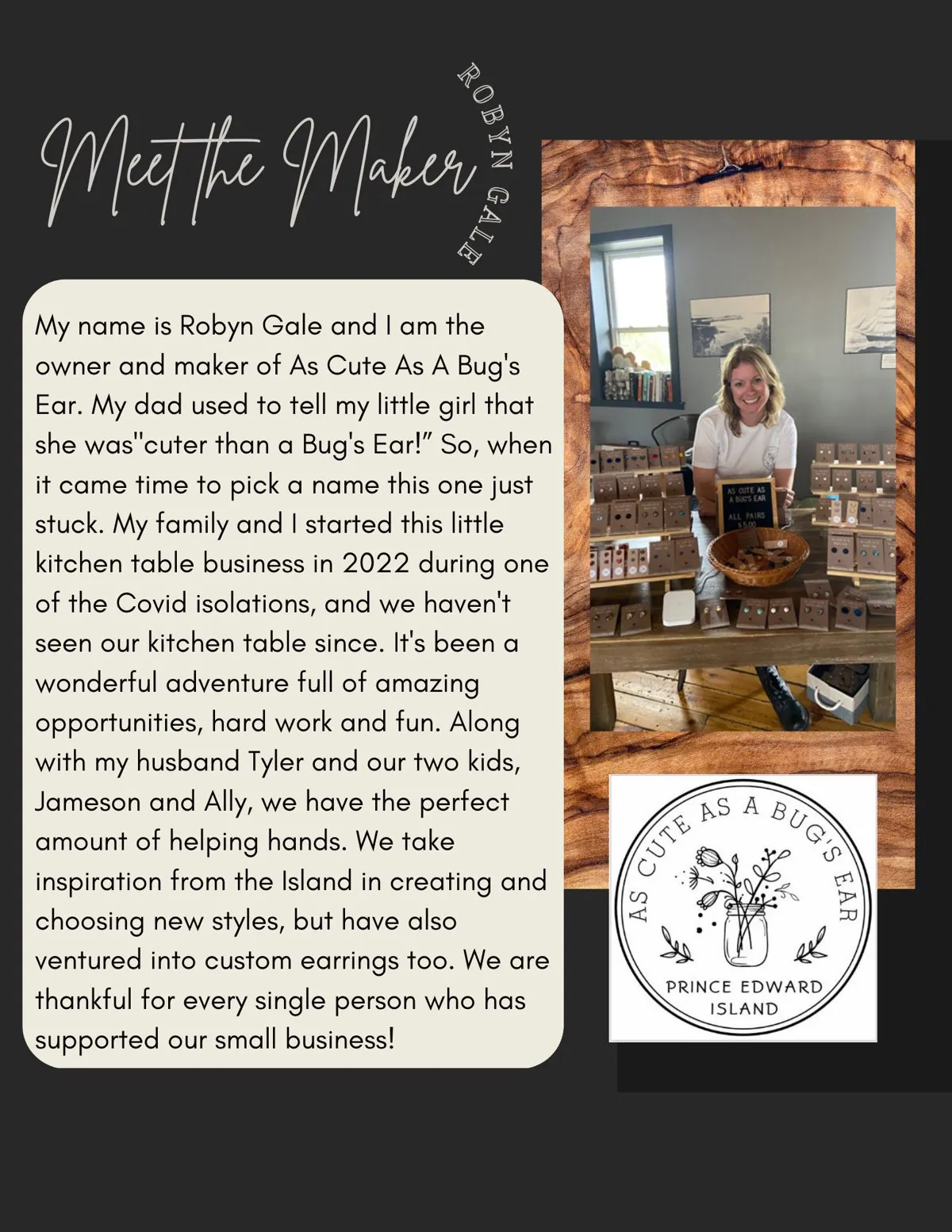 Meet the Maker poster: Robyn Gale, As Cute As A Bug's Ear