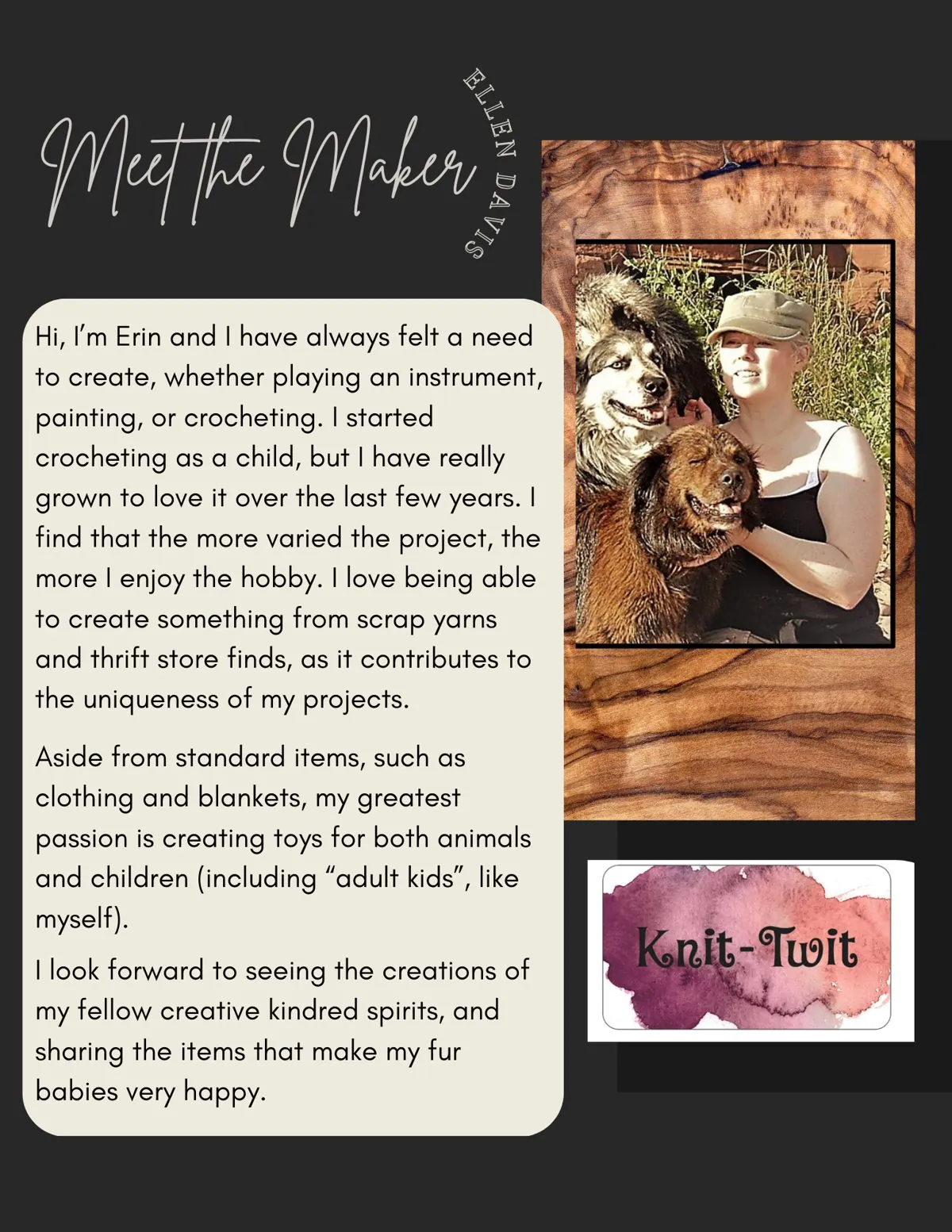 Meet the Maker poster: Ellen Davis, Knit-Twit