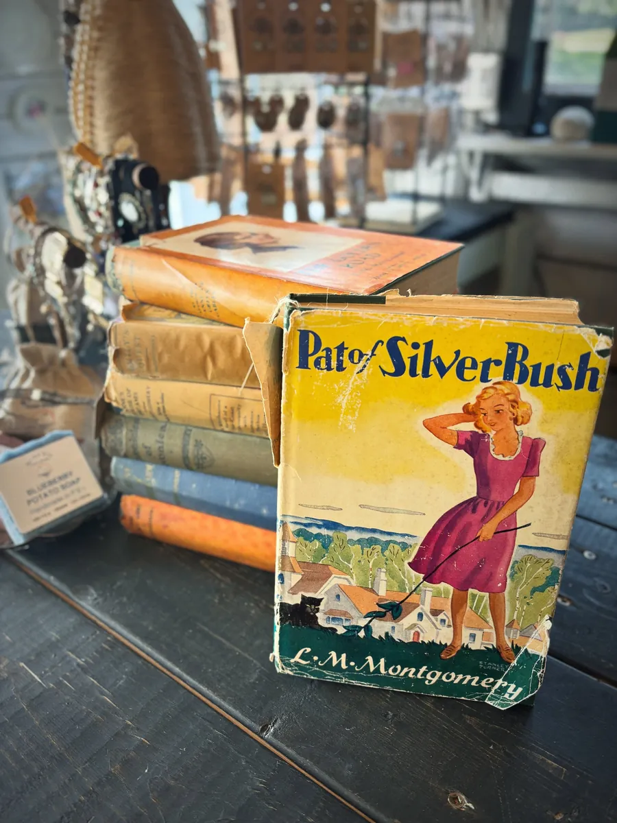 Vintage books by Sassy Lassie Vintage