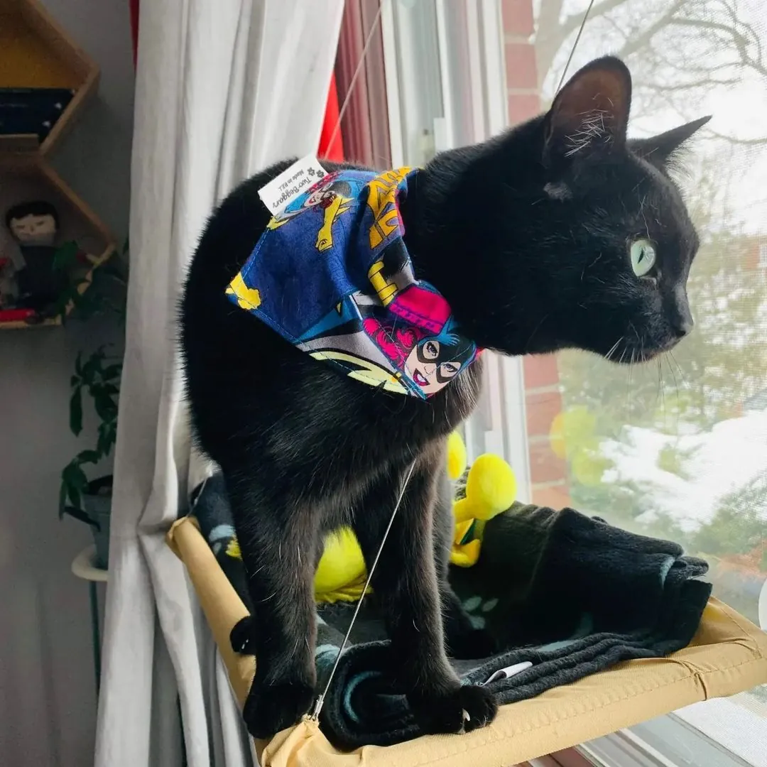 A cat in a bandana by Two Beggars