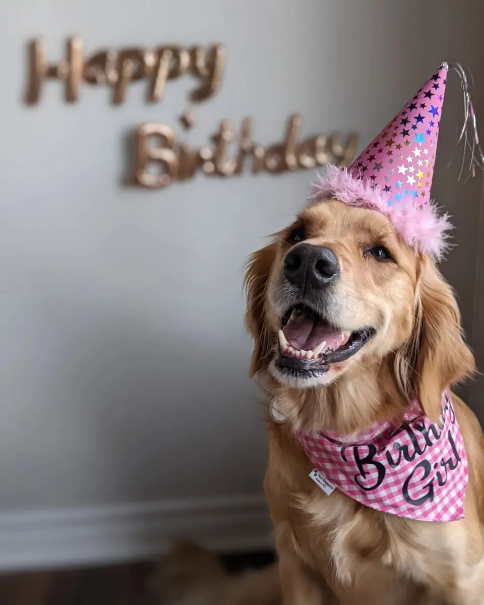 Birthday bandana by Two Beggars